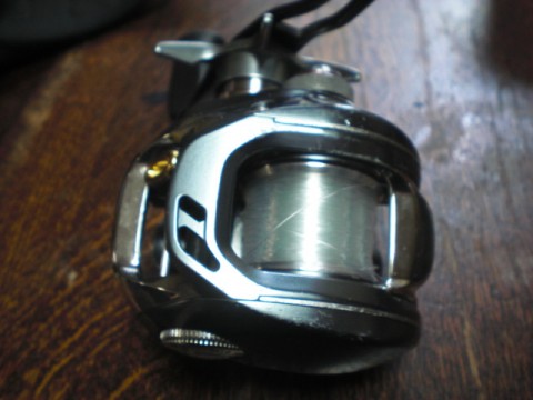 v9y4kragib39mmc8surs_480_480-5b8a8283.jpg