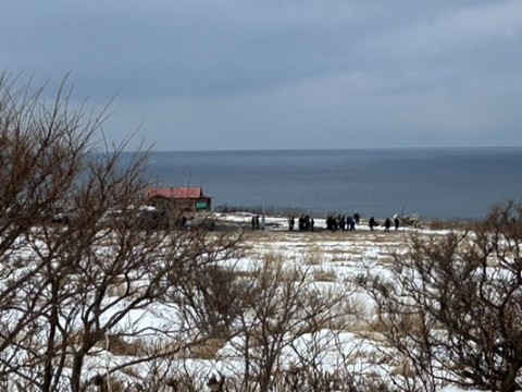 vaarji63vtpoggodyk2n_480_360-539c432f.jpg