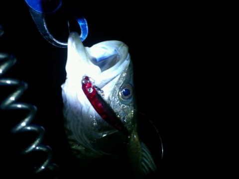 vaof25jyrty9yzr5aknm_920_690-5d194a38.jpg
