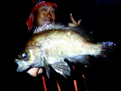 vax64r6a75ponaj37xy6_640_480-292b8f10.jpg