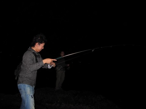vbG9QmtcitLm5LZdMwjy_480_480-278895d0.jpg