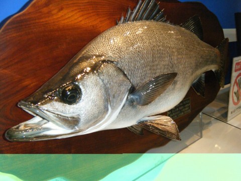 vbc9arbxrzp8px4kbdgd_920_690-16531b3d.jpg