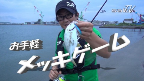 vbdm49wdb77ru8vo45vp_480_480-0704b80f.jpg