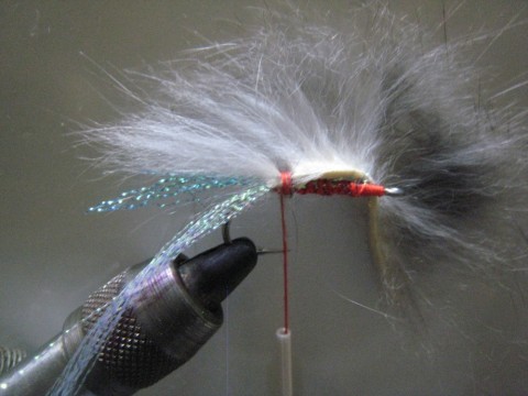 vbmr377x2ksz3dt8n9sb_480_480-c0c56043.jpg