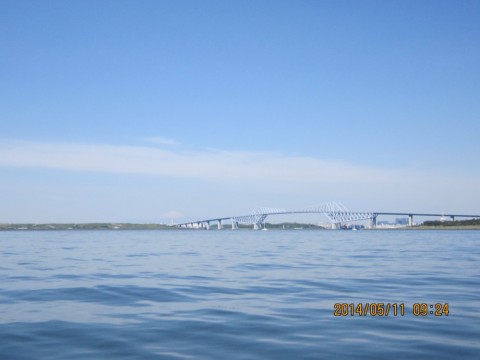 vbo7y2yprp7z3evajjbc_480_480-977ef898.jpg