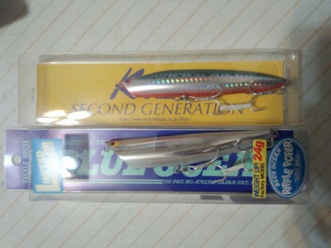 vbr8orn64xd96pyr3t5x_640_480-02d29f64.jpg