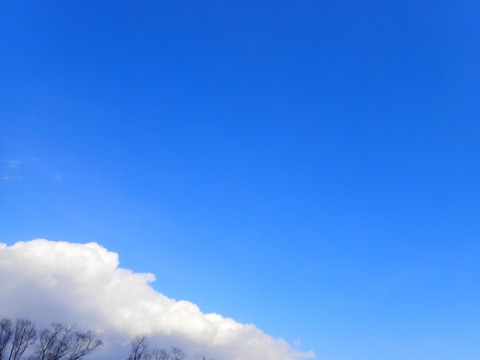 vc2maib8iaj8wdo5ycw2_480_480-d523ed60.jpg