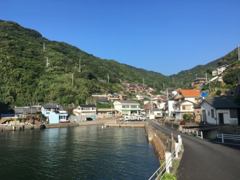 vdoirgbxbovh6o64aifc_480_480-d0304848.jpg
