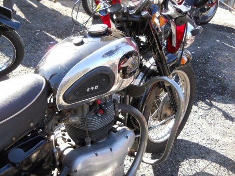 ve8ur545ge3ahhoitmtt_480_480-905a51dc.jpg
