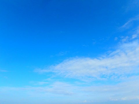 vea7sfp8zowofpvc8hh4_480_480-4f75b067.jpg