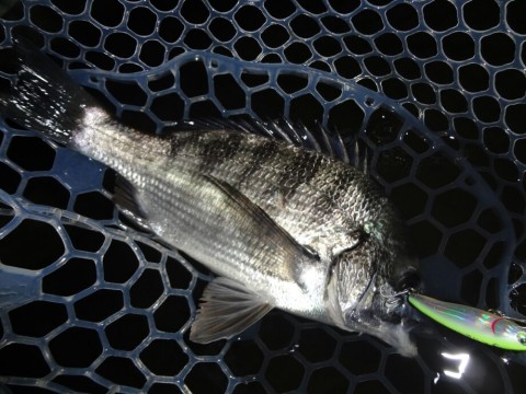 veitpvj3nj9g676cf8th_920_690-9d911df6.jpg