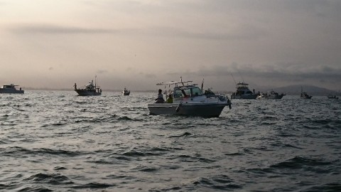 vejo448rwxzrp6tjisar_768_432-324304b9.jpg