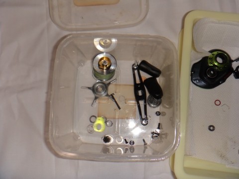 vek5obmu363a6pxecmo2_480_480-382df583.jpg