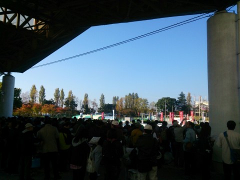 vfaz39dbh4cyszvpxo29_920_690-376c9526.jpg