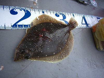 vfd7c7un4t7xsdkijzjw-3c00f793.jpg