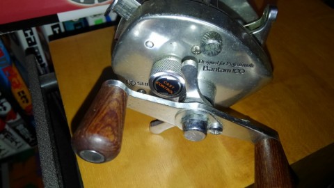 vgbonnzpvg5d34rc3c63_480_480-360a3ce0.jpg