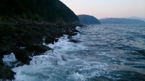 vgrwvoxwx88fsfgi427d_920_517-55cd8eed.jpg