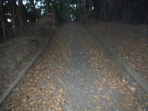 vgvn84pwthxxviodey5t_480_480-0a50549c.jpg