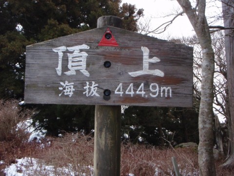 vhbrr7h5ebwywj6nd8sr_480_480-b0625043.jpg