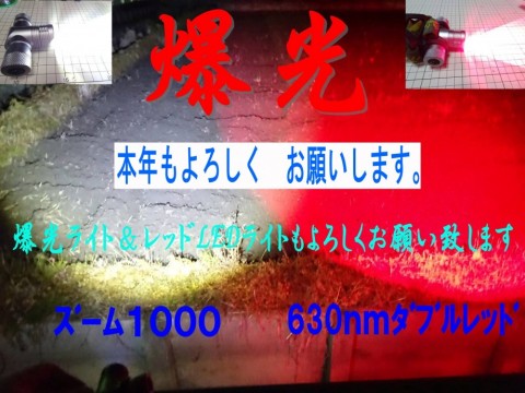 vhfwd5rkge8cy4fu66o8_480_480-6f1c6a6f.jpg
