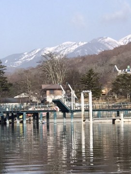 viaha47ujepsup9muzaj_361_480-a63d1b40.jpg