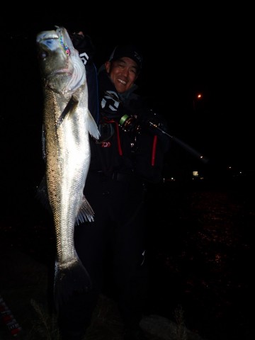 vich739x5v7ofhoyotjr_480_480-039cb81c.jpg