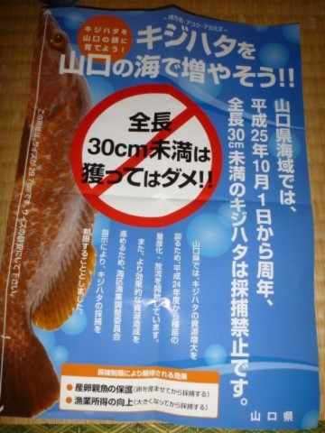 vidkztjmf4nznw5mgy6b_690_920-25b7d2a0.jpg