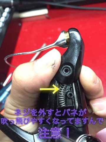 vijpnu5iyy7sddwbpwd3_690_920-e8d83cbb.jpg
