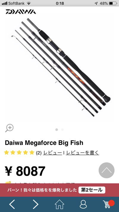 欧州ダイワ　メガフォースビッグフィッシュ　2.9m 300g