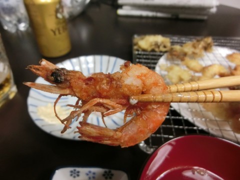 vipkkm7uov2224m75wby_480_480-d93ec12a.jpg