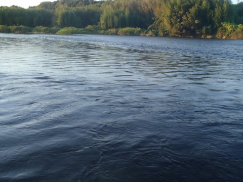 vis229h4n5k3vssmn82b_480_480-3593ff72.jpg