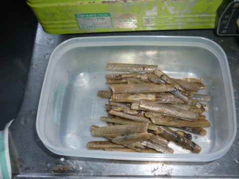 viwnt6sucxeybdd69n4c_480_480-0674e7e5.jpg