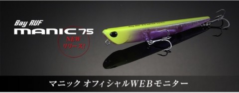 vj9wcedga4ya29ssmtkh_920_359-d456048f.jpg