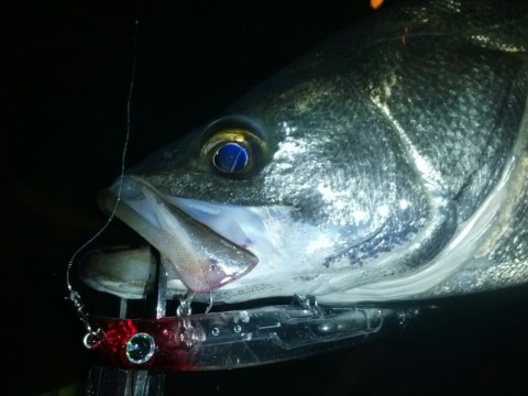 vjb864uuv9dghb2rennc_920_690-b2f0260f.jpg