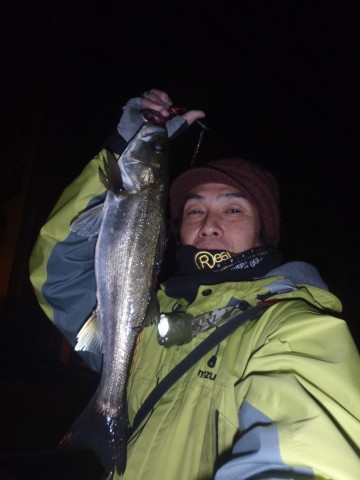 vjdddgi982zfycn6f7gb_480_480-11450cb2.jpg