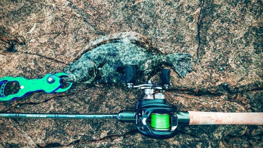 数量限定価格!! アブガルシア Abu Garcia ソルトウォーターベイトフィネス ロッド ベイト ソルティースタイル ベイトフィネス STBC 