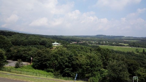 vjhazaj6sggsejh6ynxu_480_480-6d390f23.jpg