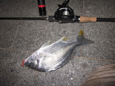 vjmma328jt5x94x85irs_480_480-e1b24895.jpg