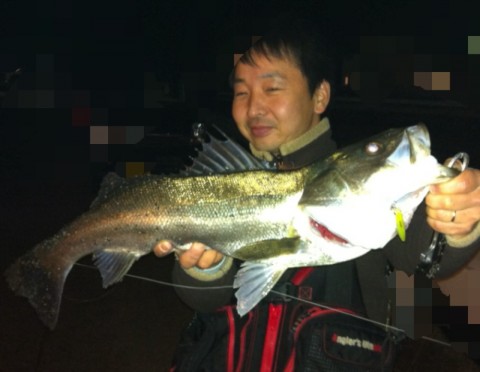 vjpui834v8gk4cmnzdyc_920_713-8675ce8c.jpg