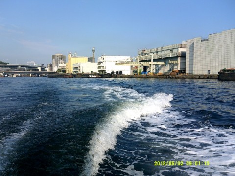 vk64zyjo3wycu622b3bo_480_480-8d05f81a.jpg
