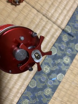 vkbpp54a4bhgce2nsagn_361_480-11803d21.jpg