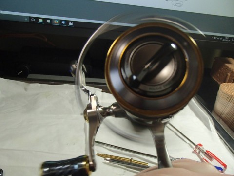vkgotynyuyfsawetjexe_480_480-52770149.jpg
