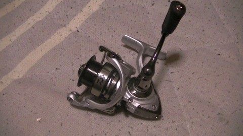 vkh9sdeisr2famf485d2_480_480-d2f70a15.jpg