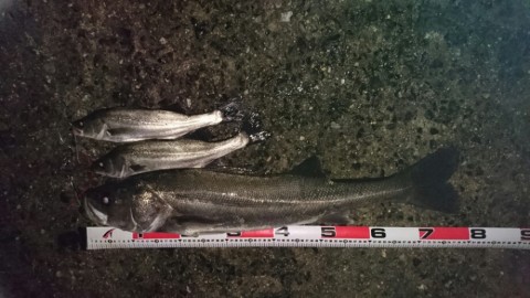 vkiykwjcy9d7tijfihno_920_518-f39a143b.jpg