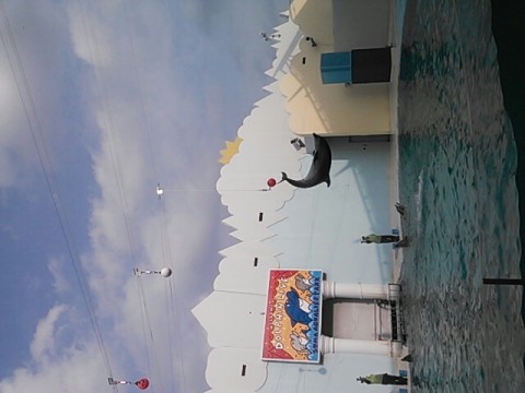 vkjjhio7ihw9bz48vimr_640_480-a82ac34a.jpg