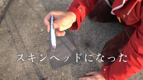 vkkfocjfkbhkb43aifyt_480_480-fcc6a1bf.jpg
