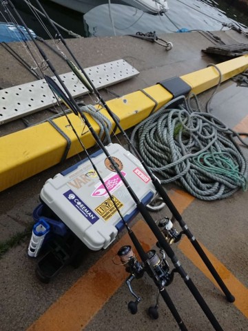 vkm8k9nfpeoz84pyjjrn_480_480-84c434ec.jpg