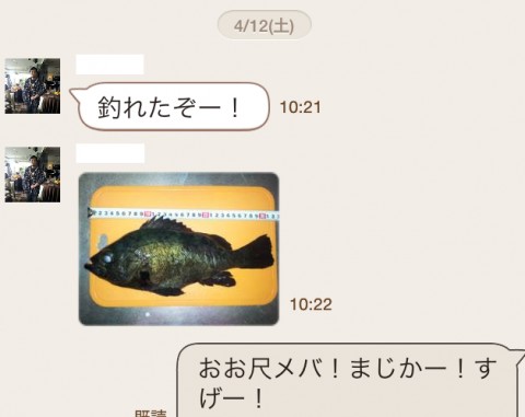 vkyhficsacfdi3rn8o5u_480_480-99bbb345.jpg
