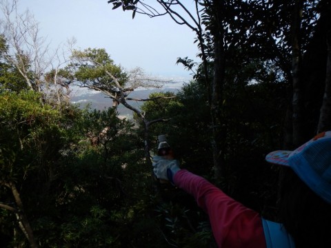vkyurrn7ncyk22ohccer_480_480-b8c713bc.jpg