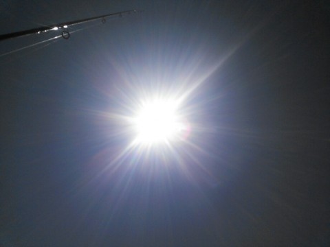 vm3ag2ev99kpjbibhxfs_920_690-1601ec59.jpg